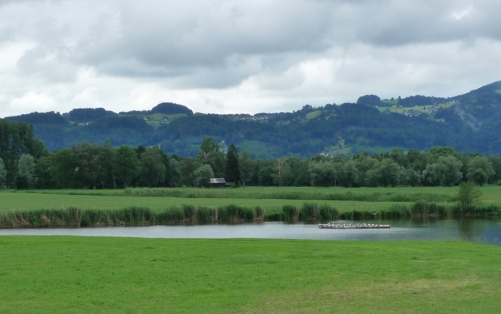 Naturschutzgebiet Rheindelta